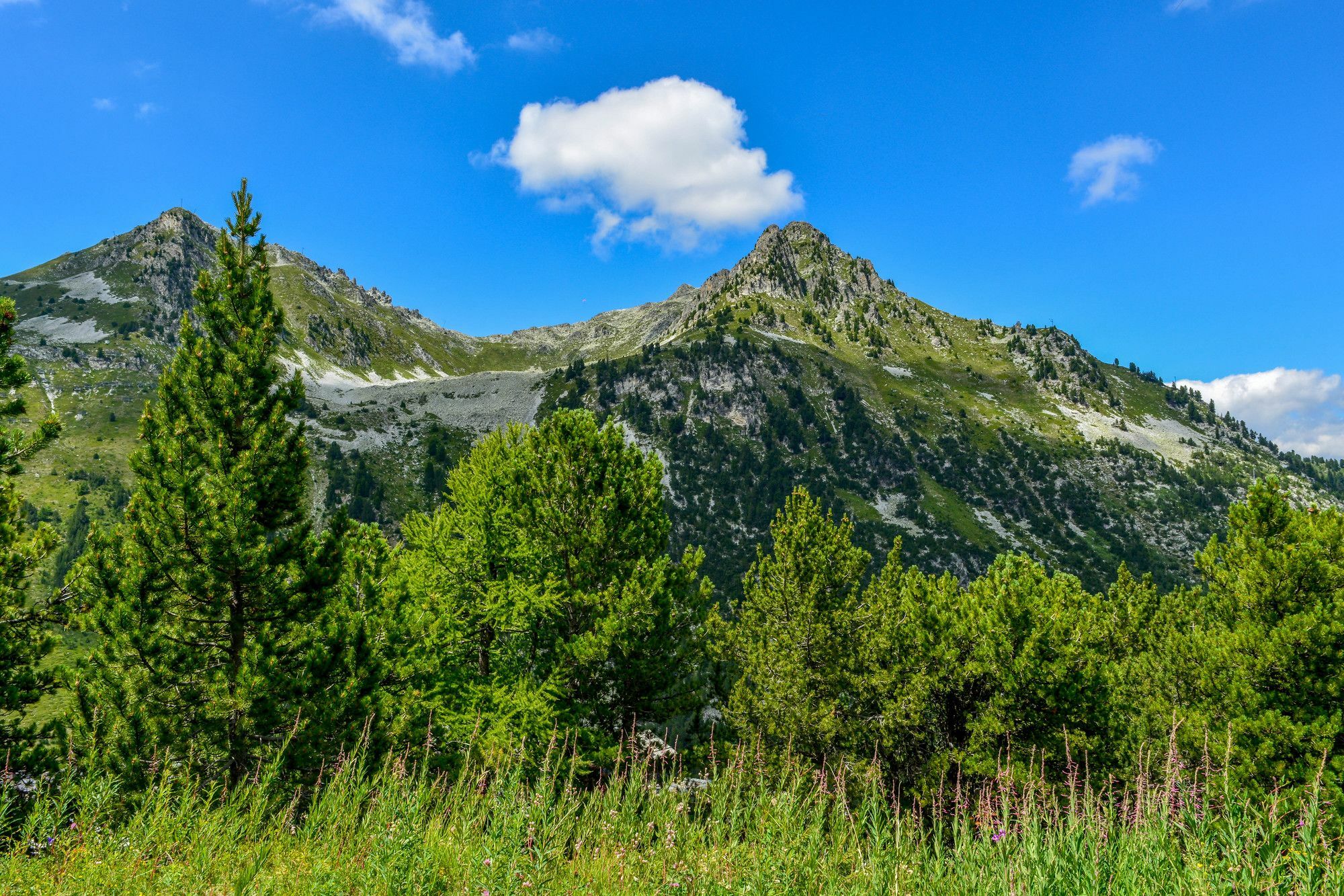 Chalet Des Neiges : La Cime Des Arcs Les Arcs  ภายนอก รูปภาพ
